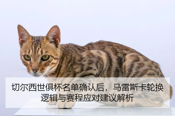 qie-er-xi-shi-ju-bei-ming-dan-que-ren-hou-ma-lei-si-ka-lun-huan-luo-ji-yu-sai-cheng-ying-dui-jian-yi-jie-xi-2-402.jpg