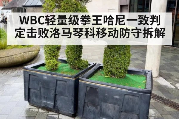 WBC轻量级拳王哈尼一致判定击败洛马琴科移动防守拆解